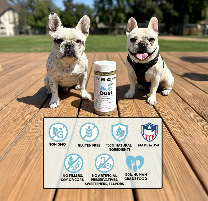 Organic Golden Ground Flaxseed for Dogs – Premium Omega 3 Skin & Coat Supplement – Milled Seed for Digestion, Joint Health & Immunity – Non-GMO, Human-Grade – 7 oz