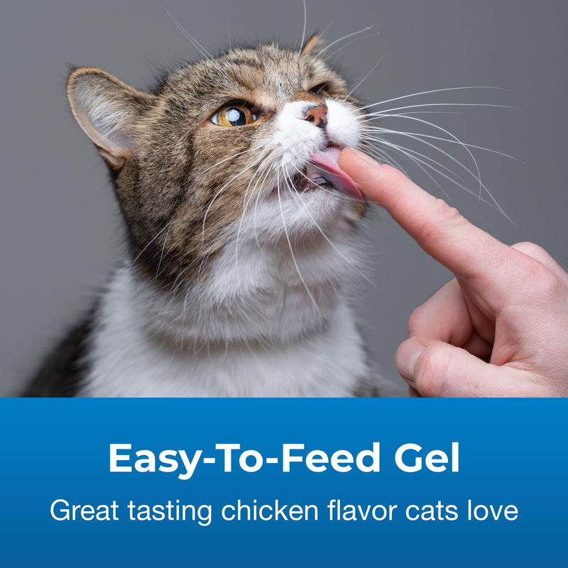 Pet-Ag UT Solution Gel Supplement for Cats - 3.5 oz - Supports a Healthy Urinary Tract for Cats 6 Months and Older - PawsPlanet Australia