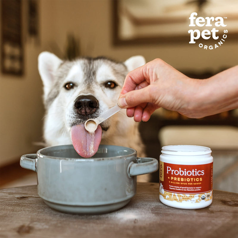 FERA Probiotics for Dogs and Cats - USDA Organic Certified - Advanced Max-Strength Vet Formulated - All Natural Probiotics Powder - Made in The USA - 5 Billion CFUs Per Scoop (Packaging May Vary) - PawsPlanet Australia