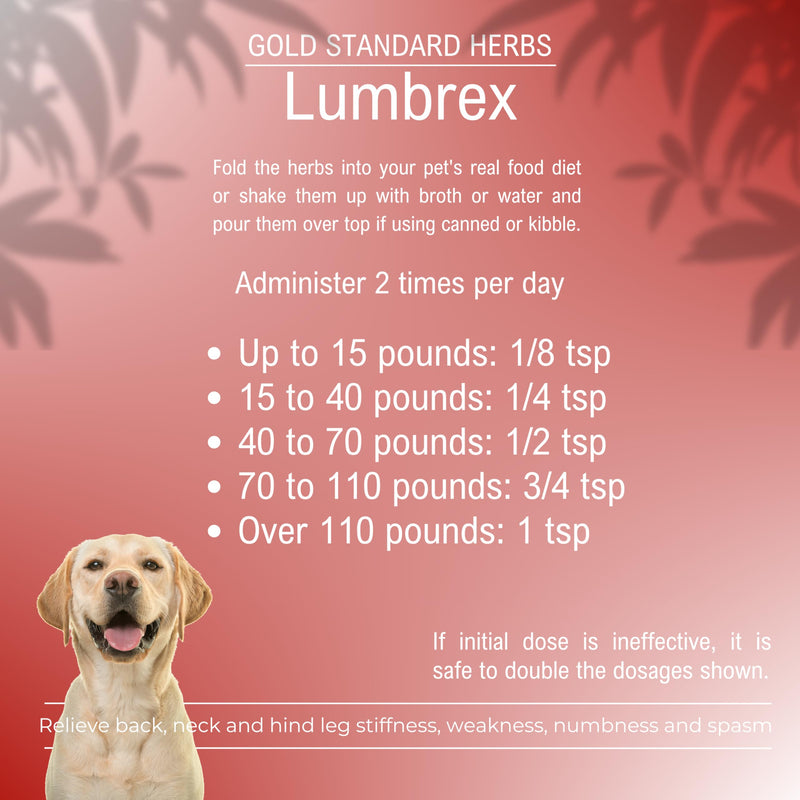 Lumbrex Joint Pain and Stiffness Relief for Dogs by Gold Standard Herbs, All Natural Angelica Root and Loranthus, 85 gram powder, White 85 g - PawsPlanet Australia
