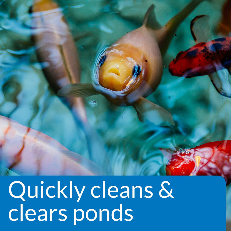 API POND SIMPLY CLEAR Pond Water Clarifier 16-Ounce Bottle (248B) Pond Treatment