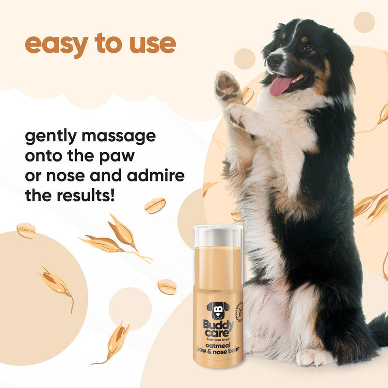 Buddycare Dog Paw & Nose Balm - Oatmeal | Protects & Repairs Dry, Cracked & Chapped Skin | Vegan & Cruelty-Free, Moisturises & Nourishes | Pocket Sized Grooming Accessory