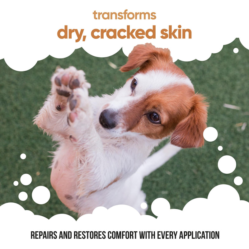 Buddycare Dog Paw & Nose Balm - Oatmeal | Protects & Repairs Dry, Cracked & Chapped Skin | Vegan & Cruelty-Free, Moisturises & Nourishes | Pocket Sized Grooming Accessory