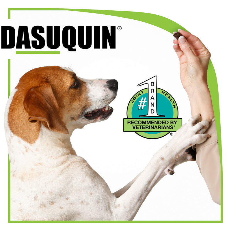 Nutramax Laboratories Dasuquin with MSM Soft Chews 84 Count Large Dog (Over 60 lbs) - PawsPlanet Australia