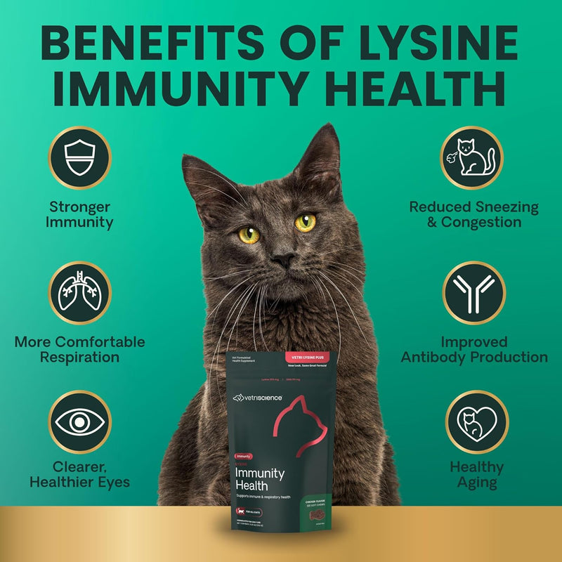 VetriScience Laboratories - Vetri Lysine Plus, Immune Support Supplement for Cats, 90 Bite Sized Chews