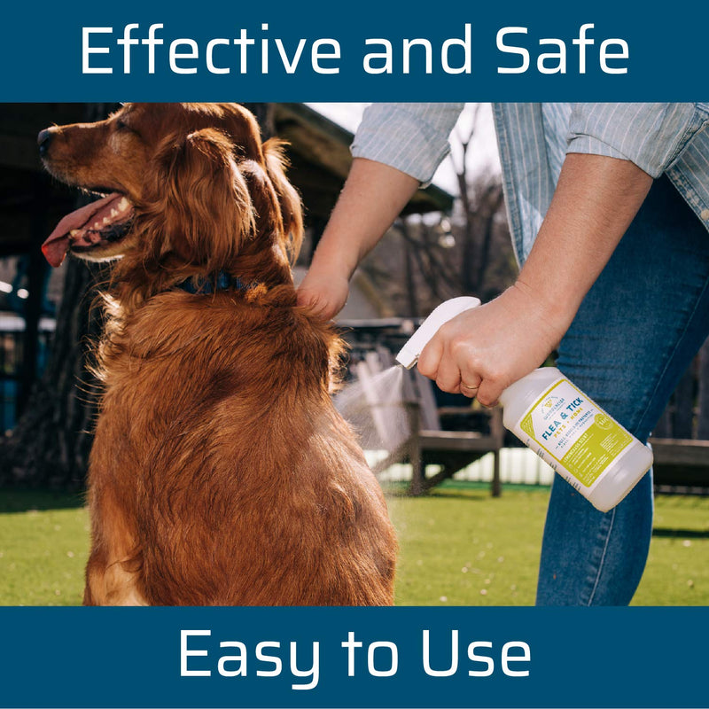 Wondercide - Flea, Tick and Mosquito Spray for Dogs, Cats, and Home - Flea and Tick Killer, Control, Prevention, Treatment - with Natural Essential Oils - Powered by Plants - Pet and Family Safe 16 OZ Lemongrass - PawsPlanet Australia