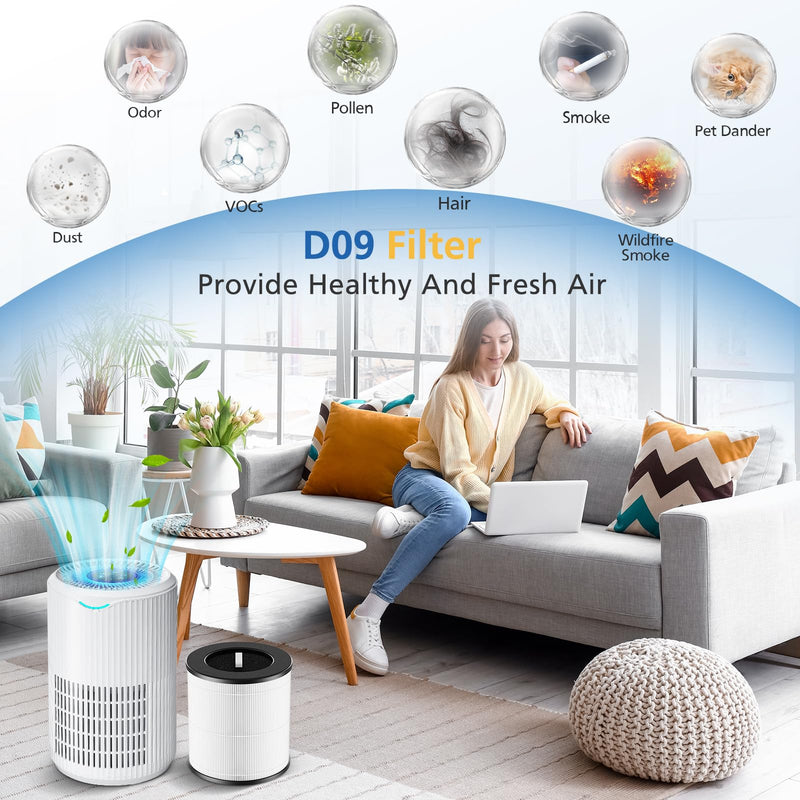 JORAIR D09 Replacement Filter for Tailulu Air Purifier Cleaner D09, 2 Pack