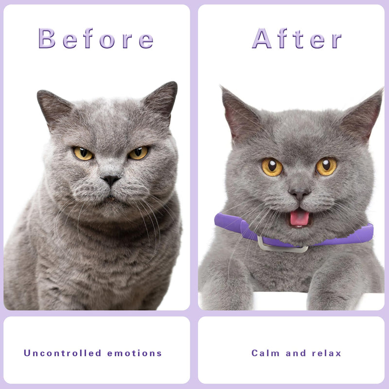 Simnice 4 Pack Calming Collar for Cats - Cat Pheromone Calming Collar Reduce Anxiety Stress for Pets, Long-Lasting Cat Calm Collars Adjustable Calm Collars for Cats Purple&Gray