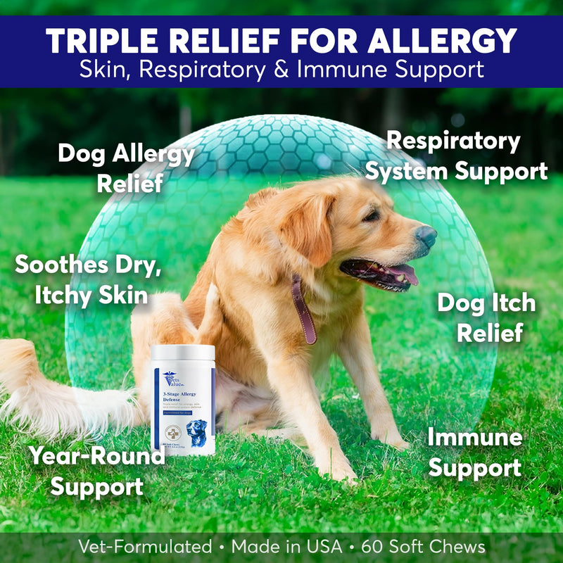 Allergy Aid Soft Chews for Dogs – with Quercetin, Bromelain, Turmeric, Grape Seed, and Fish Oil – 60 Soft Chews | Supports Seasonal Skin, Coat, and Immune Health