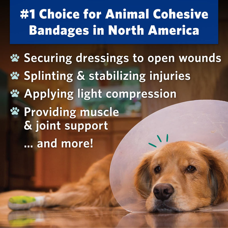 OVIK Health PetFlex No Chew – Flexible Self-Adhering Elastic Bandage for Wound Care – First Aid Wrap for Small Animals Like Dogs, Cats, and Other Pets - 2 inch, 6 Rolls 6 Count