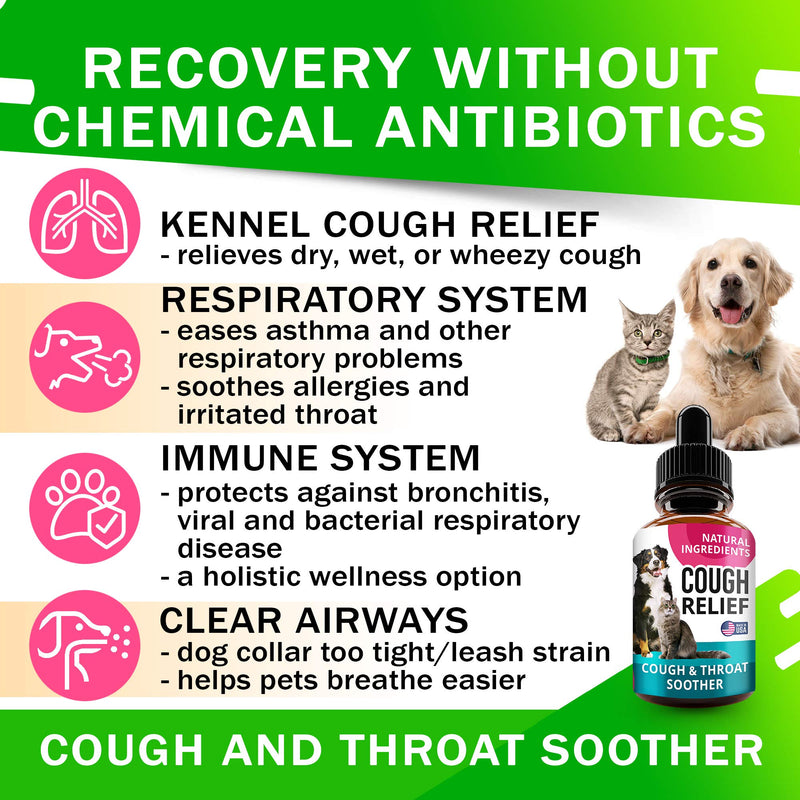 Kennel Cough Drops for Dogs and Cats - 2oz Pet Herbal Remedy - Throat Soother - Homeopathic Respiratory Support - Dry, Wet & Barky Pet Cough and Cat Asthma, Sinus Congestion Treatment - Made in USA - PawsPlanet Australia