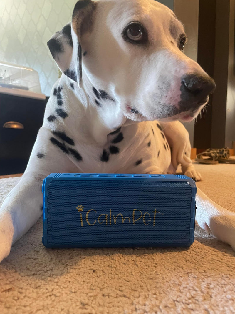 Puppy Pak | iCalmPet Ruff 'n Ready Portable Speaker with 3-hr MicroSD | Puppy Calming Music - PawsPlanet Australia