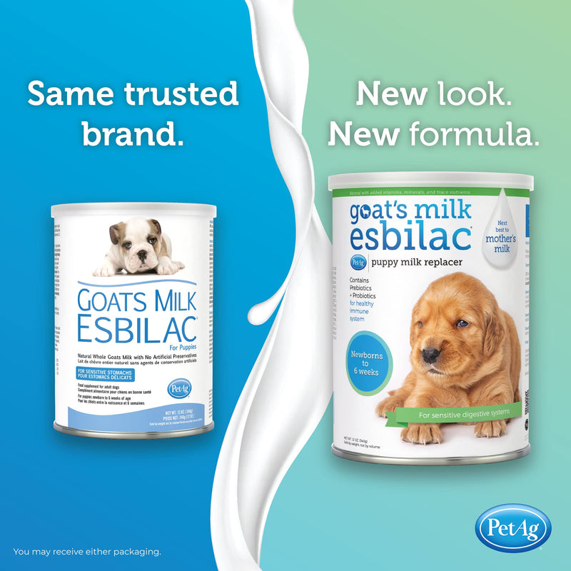 PetAg Esbilac Goat's Milk Powder Puppy Milk Replacer - Milk Formula for Puppies with Sensitive Digestive Systems 12 Ounce (Pack of 1) - PawsPlanet Australia