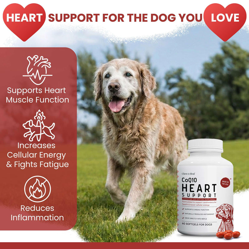 CoQ10 for Dogs, 60 Soft Gels - Dog Heart Health Supplement, Cardiac and Kidney Support - 30mg Coenzyme q10 for Dog Cardiovascular, Immune Health and Cellular Energy Support - Made in the USA