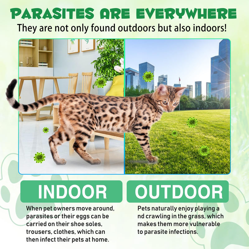 Specifically Formulated for Cats, Cats Natural Broad Spectrum, Digestive Support, Promotes Gut Health & Flora Balance, Cat Multivitamin Supplement Drops with Probiotic