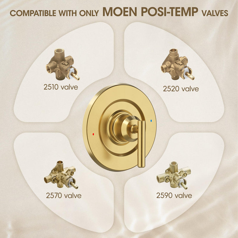 Brushed Gold Shower Trim Kit for Moen T2901 Handle, Compatible with Moen 2510/2520/2570/2590 Pressure Balanced Valve Series, Fix Wobbly Handle for Bathroom Renovation