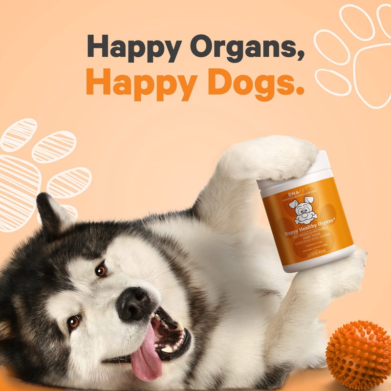 Happy Healthy Organs & Glands Supplement for Dogs, Freeze-Dried Raw Grass-Fed Beef Liver Heart Kidney Spleen Pancreas Bone Marrow, Bovine Thymus Multi Organ Powder, Canine Vitamins, 3 oz - PawsPlanet Australia