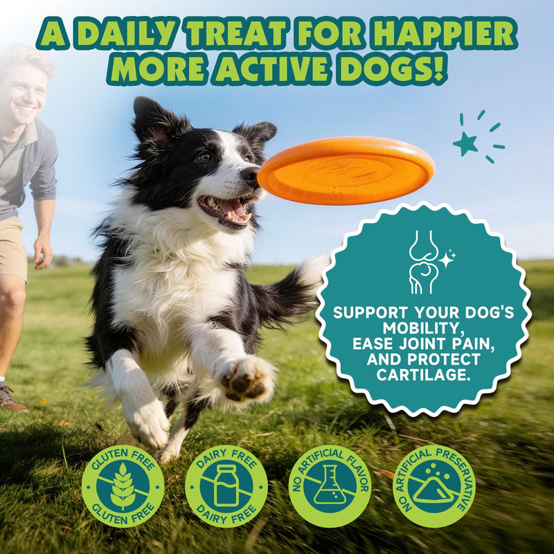 Cat Hairball Remedy for Digestive Health Aid & Dog Hip and Joint Crunchy & Creamy Chews