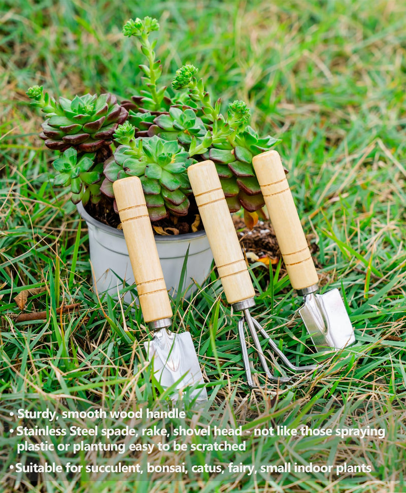 Plant Repotting Mat, 5Pcs Succulent Tools Mini Garden Small Gardening Tools Indoor, Pruning Shear Gardening Scissor, Hand kit for Bonsai, Cactus, Fairy, Houseplant Transplanting, Seedling Country Rustic Garden Tools