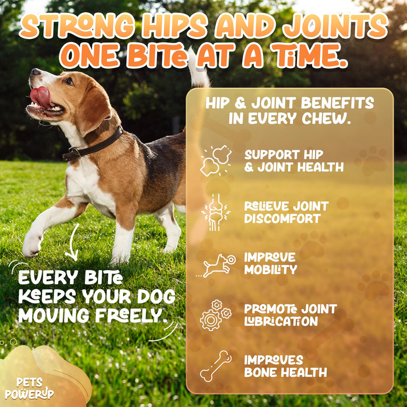 Hip & Joint Mobility Dog Vitamins and Supplements (120 Ct) Dog Bites Soft Chews Treats with Glucosamine Chondroitin MSM Turmeric Omega 6 Dog Joint Supplement for Small Medium Large Dogs