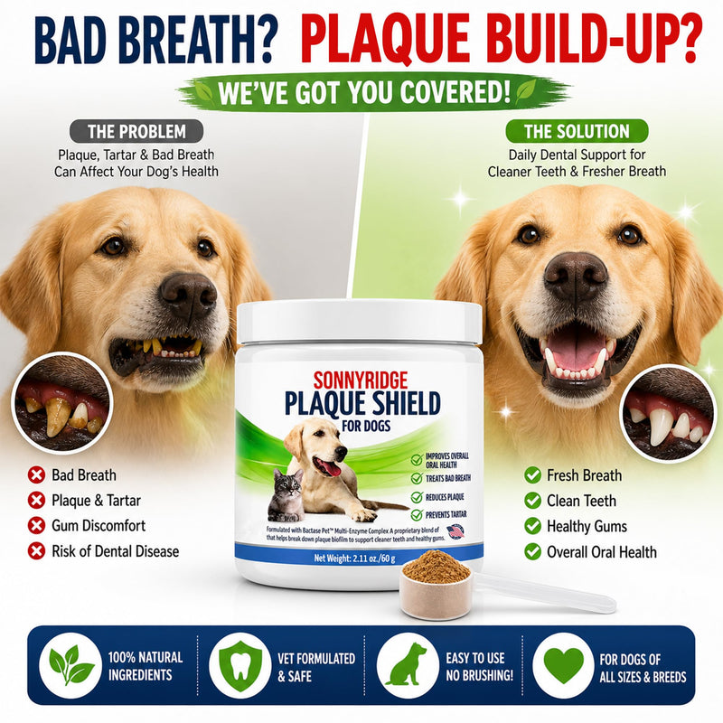 Dog Dental Powder for Dogs & Cats – Bactase Pet™ Enzymes, Astaxanthin & Ascophyllum Nodosum – Helps Reduce Plaque & Tartar, Freshens Breath & Supports Healthy Gums– Made in USA– 30 Servings