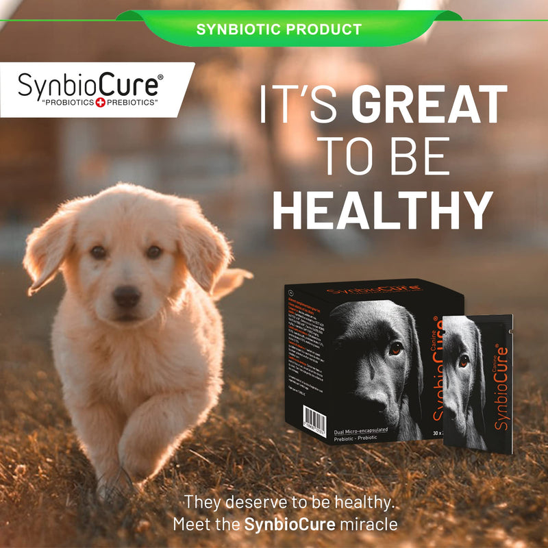 I Probiotics & Prebiotics for Dogs I Powder Dog Supplement I Digestive Health Support I 200 Billion Bacteria Per Sachet I 30 Sachets*2 g