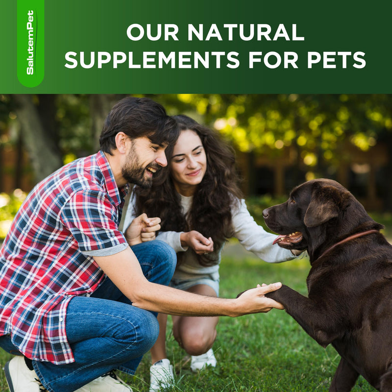 Natural Antibiotics for Dogs | Dog Antibiotics | Supports Dog Allergy Relief | Dog Itch Relief | Dog Allergy Support | Dog Multivitamin | Pet Antibiotics | Dog Antibiotics | 2 Oz Chicken
