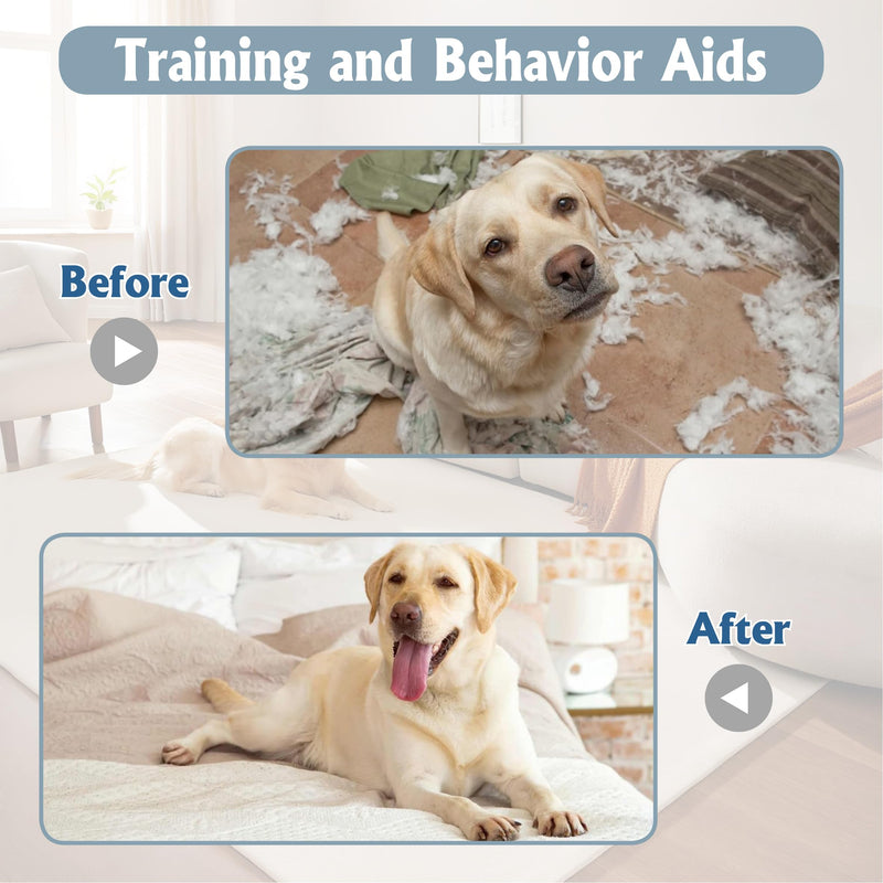Natural Bitter Apple Spray for Dogs–Upgraded Double Bitter Extract, Alcohol-Free. Stops Chewing on Furniture, Shoes & More. Pet-Safe for Indoor/Outdoor use. 150ml