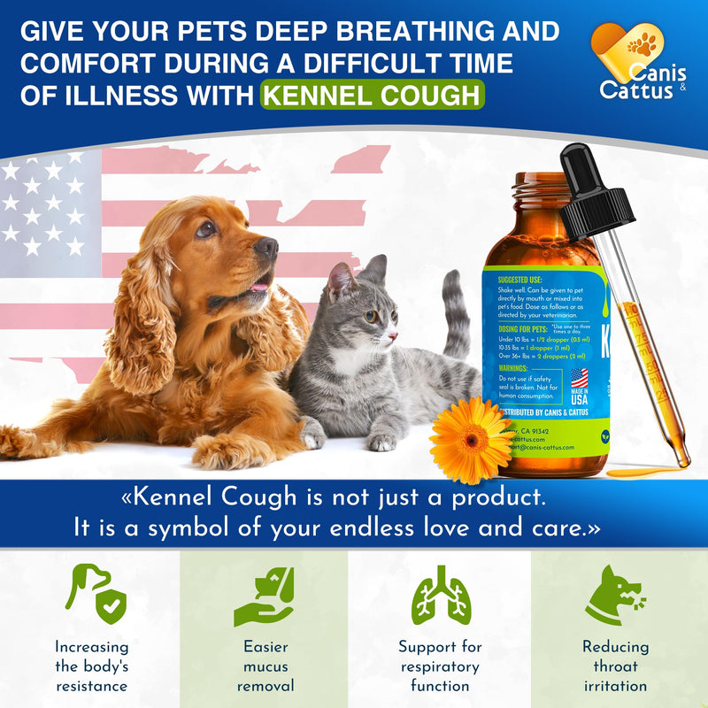 Pet Antibiotic | Dog Cough | Natural Antibiotics for Dogs | Antibiotic for Cats | Kennel Cough | Cat Cough | Antibiotics for Dogs | Bundle 2 Pack x 2 Oz - PawsPlanet Australia