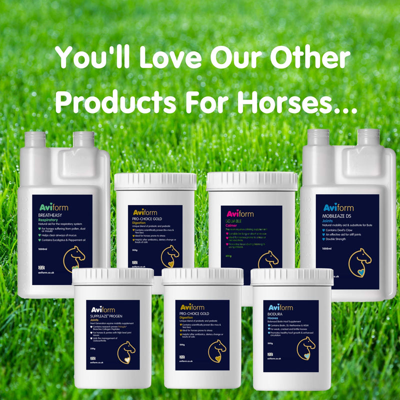 Aviform MSM Equine Joint Supplement for Horses - Highest Purity for Excellent Joint Maintenance, Healthy Growth of The Hoof, Tendons, Soft Tissue, Muscles and Ligaments - 2kg Compostable Pouch - PawsPlanet Australia