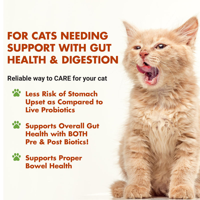 LIQUID-VET Cat Pre & Postbiotic Supplement Advanced Digestive Support for Cats with Premium Gravy Formula for Optimal Gut Health and Wellbeing 8 oz (AllergyFriendly Unflavored) Professional Unflavored