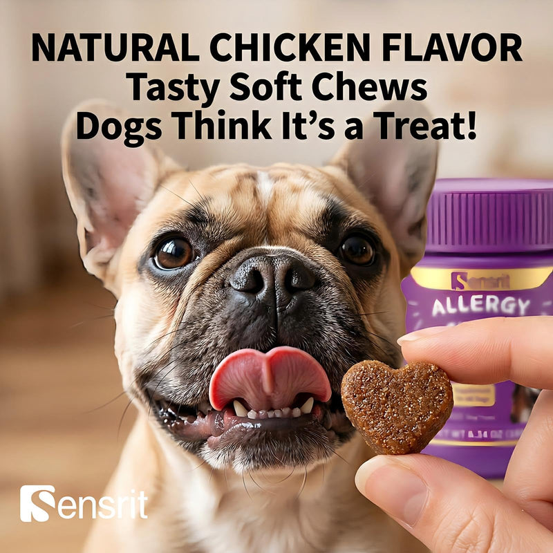 Allergy Relief Immune Supplement for Dogs - with 480M CFU Probiotics, Colostrum & Salmon Oil - Soft Chews for Seasonal Itch, Hot Spots & Paw Licking - 90 Chicken Flavored Treats