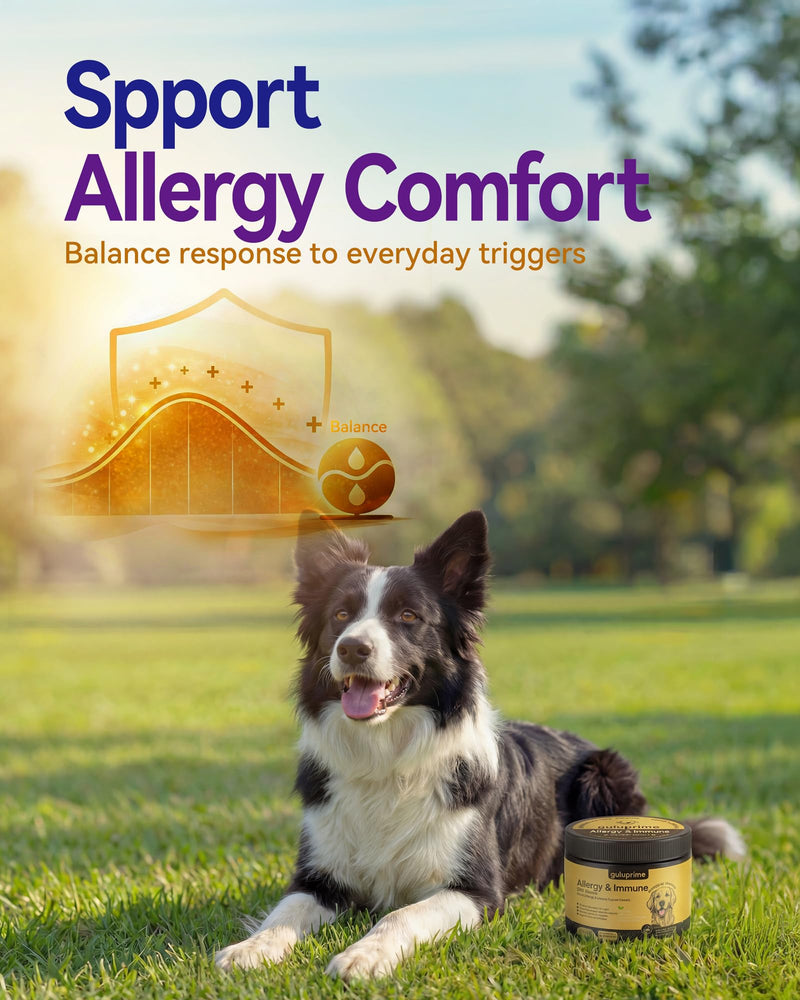 Dog Allergy Relief Chews – Seasonal Allergy Support for Dogs with Environmental Sensitivities, Immune & Gut Health Soft Chews for Allergy-Prone Dogs CK