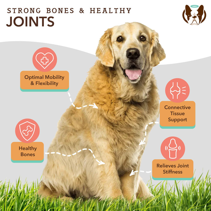 Natural Dog Company Healthy Joint Travel Bundle, includes (1) Hip and Joint Chews Supplement - 90 pcs glucosamine chondroitin for dogs, (1) Wild Alaskan Salmon Oil - 8 oz Salmon oil for dogs on the go - PawsPlanet Australia