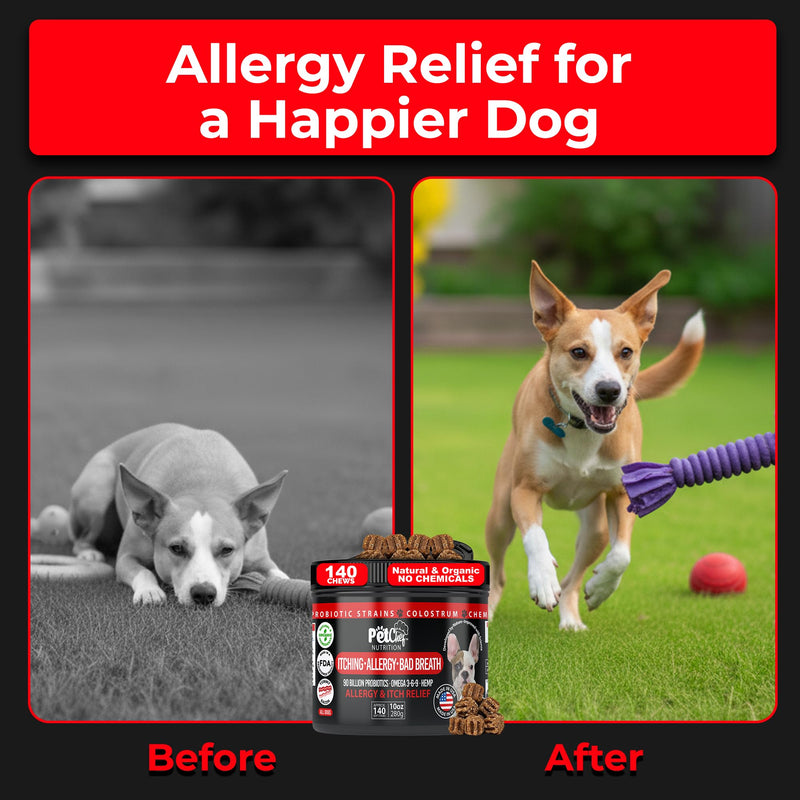 Pet Chef Dog Allergy Chews 140 Soft Chews with Salmon Oil, Omega 3 & Probiotics Natural Supplement for Itch Relief, Immune Support & Healthy Skin & Coat (Bacon Flavor) Vegan Smokey Bacon