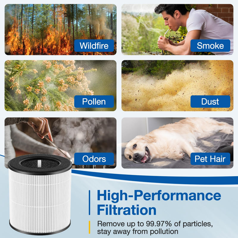 D10 Replacement Filter Compatible with Tailulu D10 Air Purifier, 2 Pack