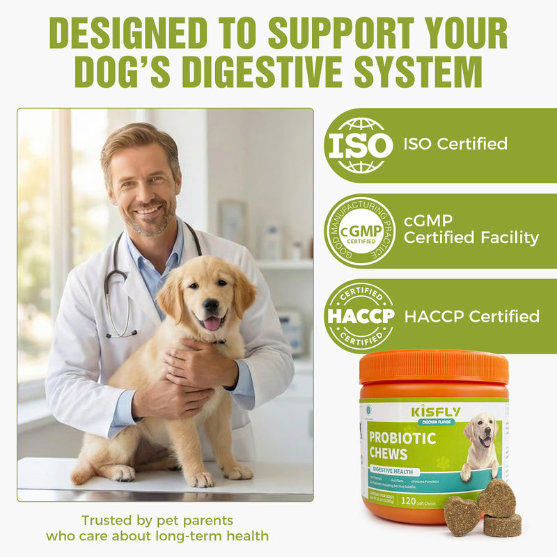 Probiotics for Dogs 2 Billion CFU - 6 Strains with Bacillus Subtilis - Soft Chews for Dog Diarrhea, Gas, Bad Breath & Itchy Skin - Digestive & Immune Support