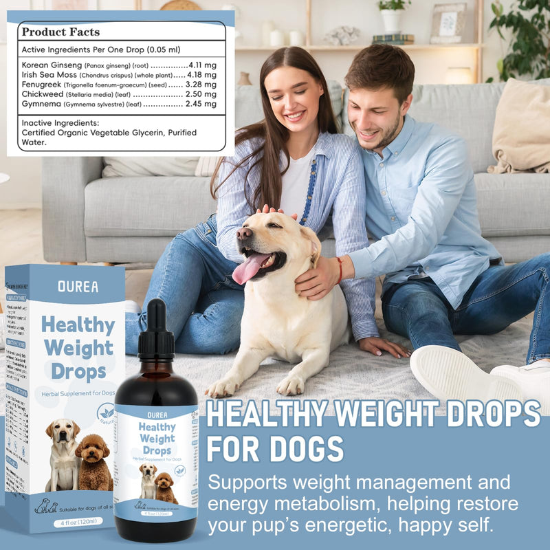 Weight Management Drops for Dogs, Effective Dog Weight Loss Drops, Healthy Weights Nutritional Supplement, Energy Metabolism Support, Weights Loss Pet Food, Natural Solution Hunger Control Supplements