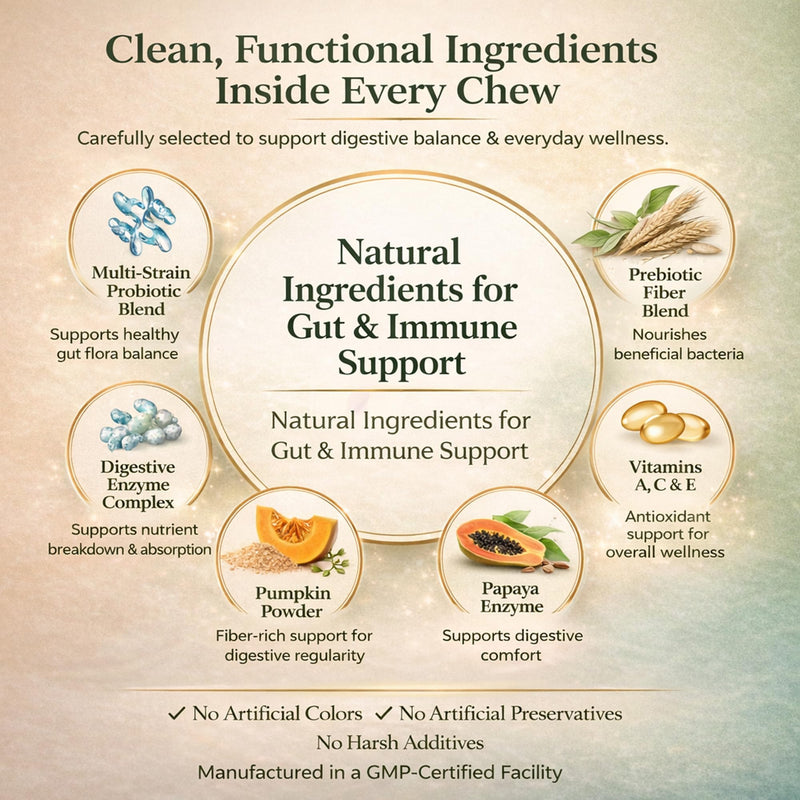 wikiRay Probiotics for Dogs – Soft Chews for Digestive Health & Immunity | 120 Chews | 3 Billion CFU, Pumpkin, Enzymes, Vitamins & Prebiotics | Made with Natural Ingredients