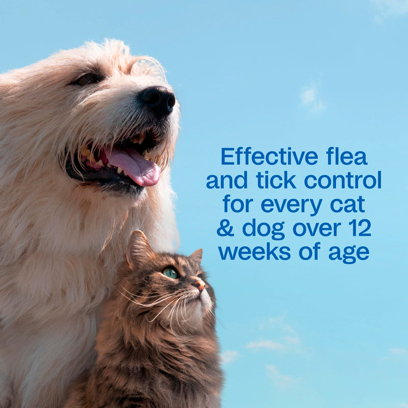 ADAMS Plus with Botanicals Flea & Tick Shampoo for Cats, Kittens, Dogs & Puppies, Flea Shampoo for Flea Infestations, Soothes & Conditions Dry Skin & Coat, Kills Fleas, Flea Eggs, Ticks & Lice, 16 oz 16 Ounces