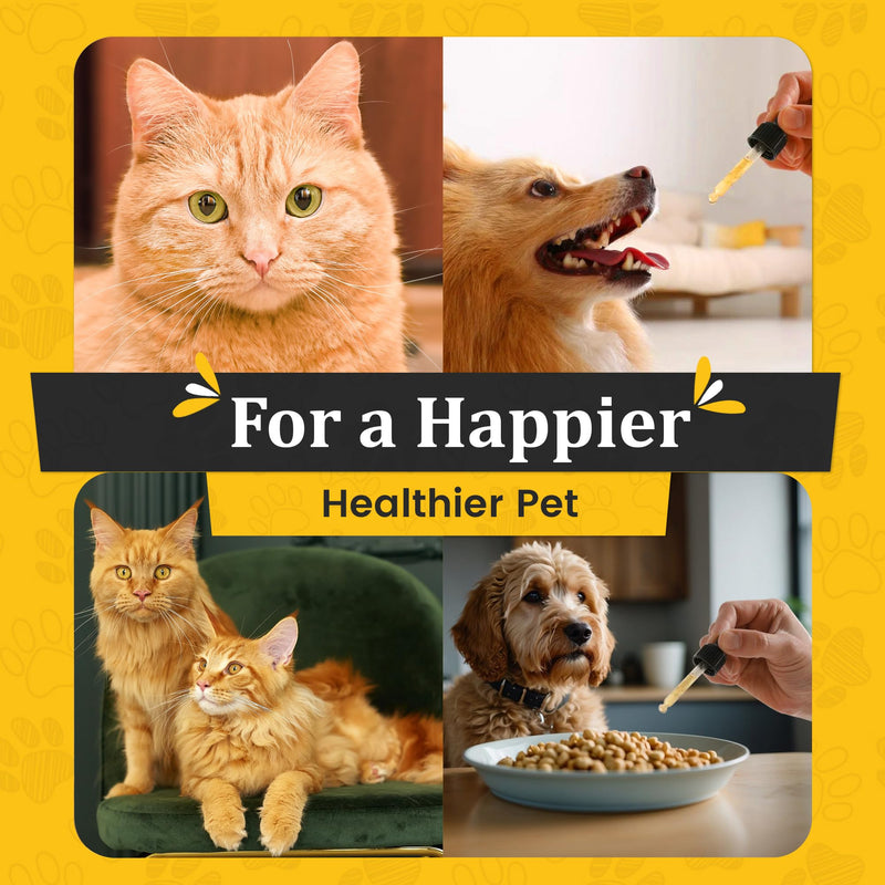 Liquid Glucosamine for Dogs & Cats - Advance Joint Support Supplement - Supplement with Chondroitin, MSM, Hyaluronic Acid, Biotin, Collagen Peptides & Taurine - Max Potency