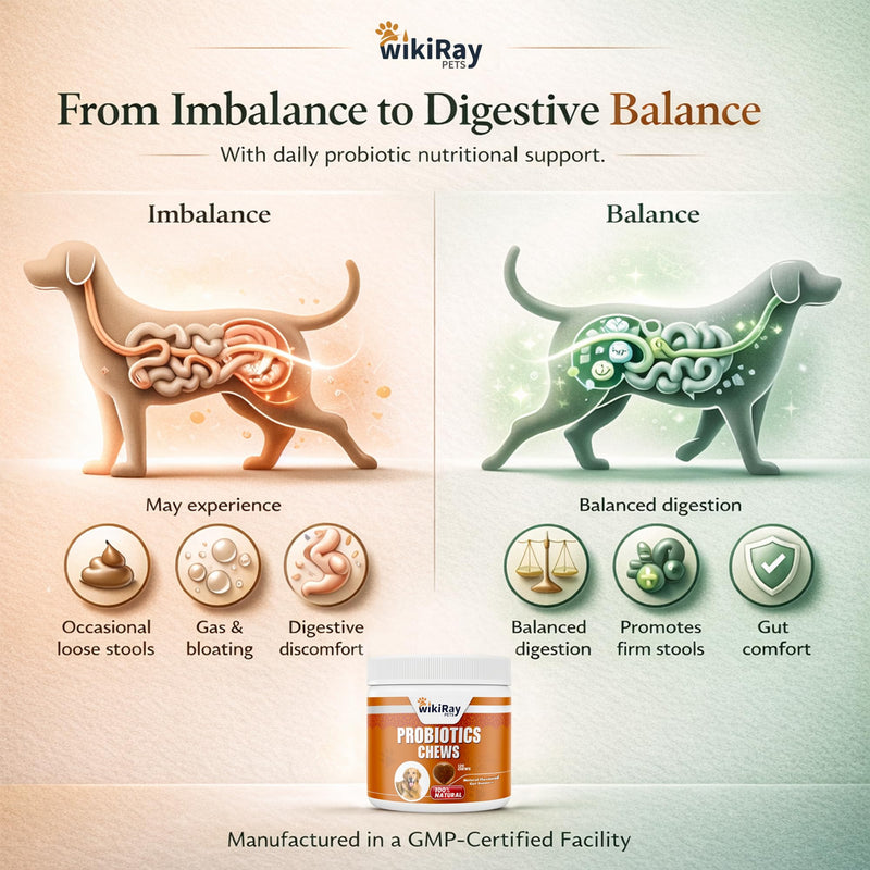 wikiRay Probiotics for Dogs – Soft Chews for Digestive Health & Immunity | 120 Chews | 3 Billion CFU, Pumpkin, Enzymes, Vitamins & Prebiotics | Made with Natural Ingredients