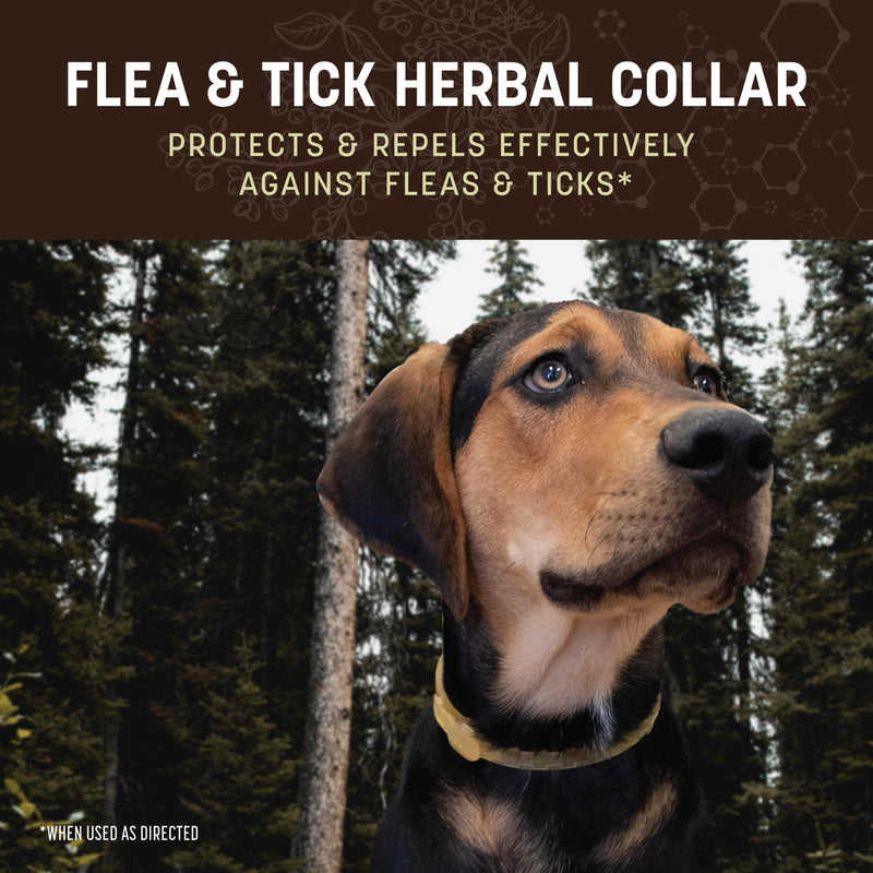 Earth Animal Apothecary Natural Flea & Tick - Herbal Collar for Medium Dogs - 1 Collar