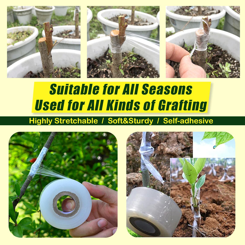 Nursery Grafting Tape, Buddy Tape for Fruit Trees/Plant Self-Adhesive PE Stretchable Film for Grafting and Budding -Garden Grafting Tool (3CM(1-1/5") W, 2 Roll) 3CM(1-1/5")W 2.0