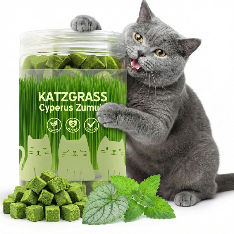 Cat Grass Treats for Indoor Cats - Freeze Dried Cat Grass Crunchy Snacks for Hairball Control and Digestive Support - Natural Kitty Grass Supplement - 4.23 oz 4.23 Ounce (Pack of 1)