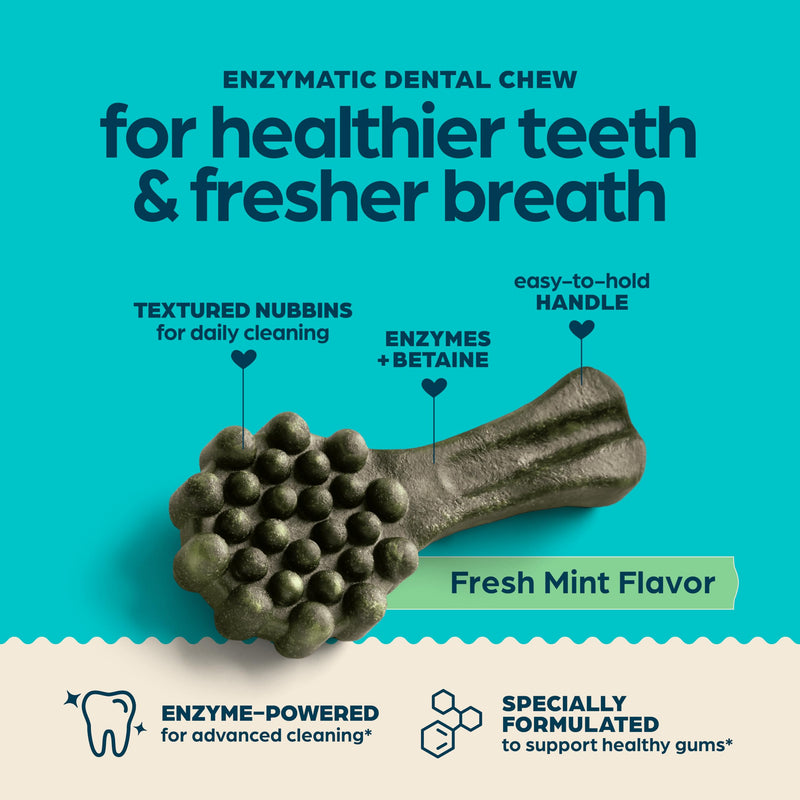 Chewsday Fresh Mint Flavor Dental Chews, Large Dog Treats, Healthier Teeth and Fresher Breath, Enzyme Powered for Advanced Cleaning, Made in the USA, 9 Count 9 Count (Pack of 1)