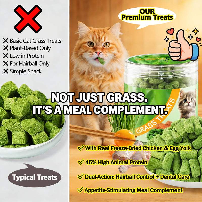 3.53oz Freeze-Dried Cat Grass Treats with Chicken & Egg Yolk - Natural Cat Grass Teething Sticks for Hairball Control & Dental Care - High Protein, Grain Free Snacks for Indoor Cats 3.53 Ounce (Pack of 1)