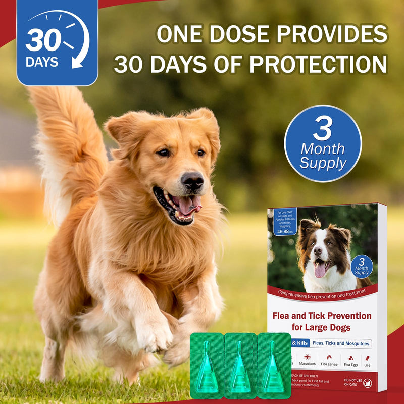 Flea and Tick Prevention for Large Dogs, Flea Drops for Dogs 45 to 88 lbs, 3 Month Support for Skin & Coat Health, Fast Acting, Dog Flea and Tick Treatment, Supplement