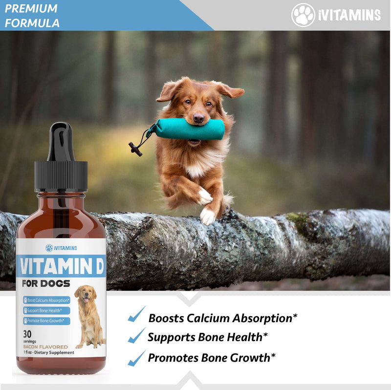 Vitamin D for Dogs | Vitamin D Supplements for Dogs | Vitamin D Dog | Dog Vitamins | Dog Vitamins and Supplements | Dog Vitamins Multivitamin | Vitamins for Dogs | 1 fl oz: 30 Servings | Bacon Flavor - PawsPlanet Australia