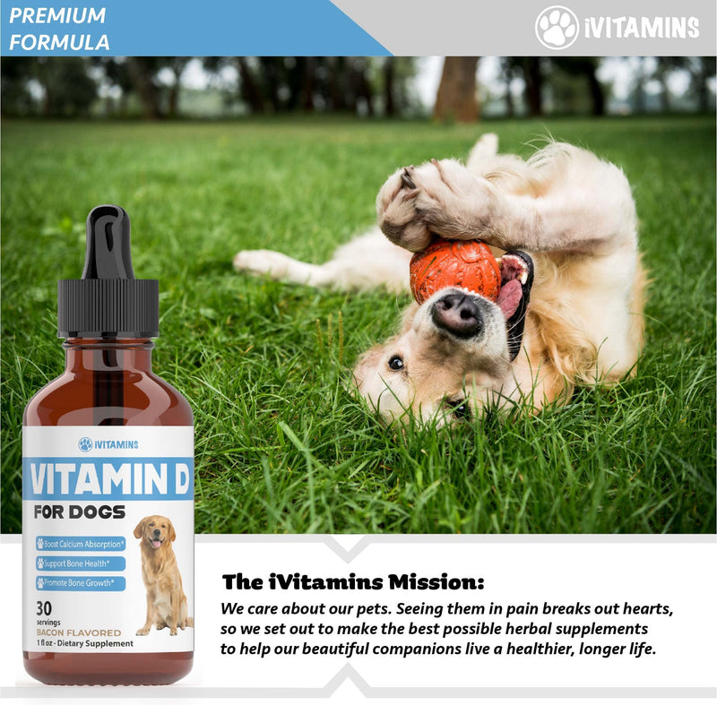 Vitamin D for Dogs | Vitamin D Supplements for Dogs | Vitamin D Dog | Dog Vitamins | Dog Vitamins and Supplements | Dog Vitamins Multivitamin | Vitamins for Dogs | 1 fl oz: 30 Servings | Bacon Flavor - PawsPlanet Australia